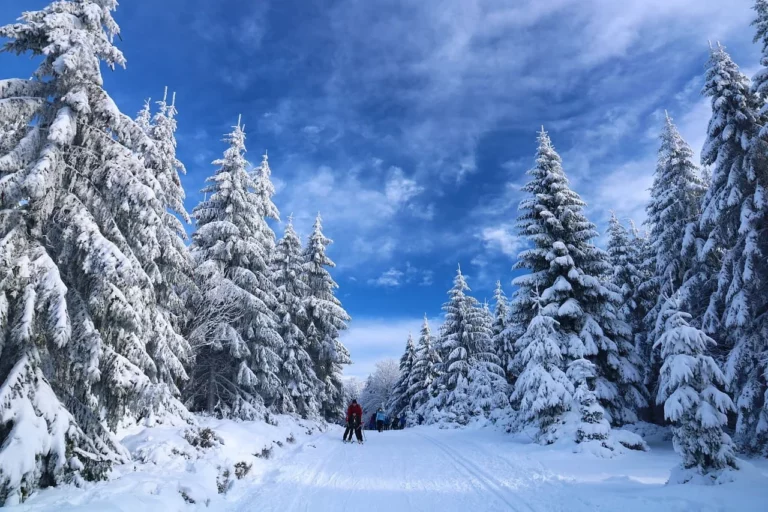Liste PDF des affaires à ne pas oublier pour les vacances au ski